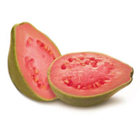 Guava